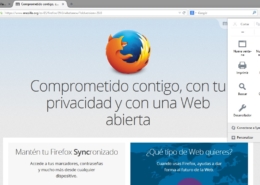 Mozilla Firefox 29